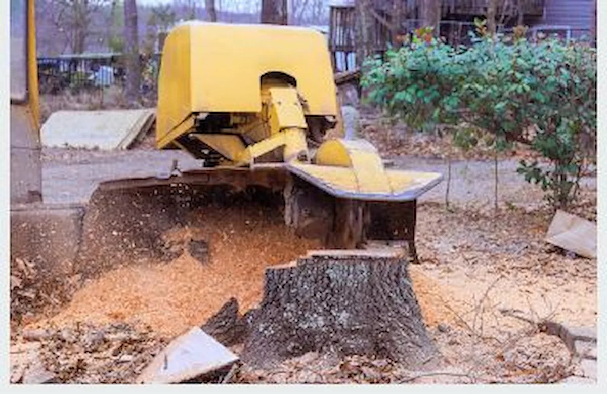Stump Grinding & Removal