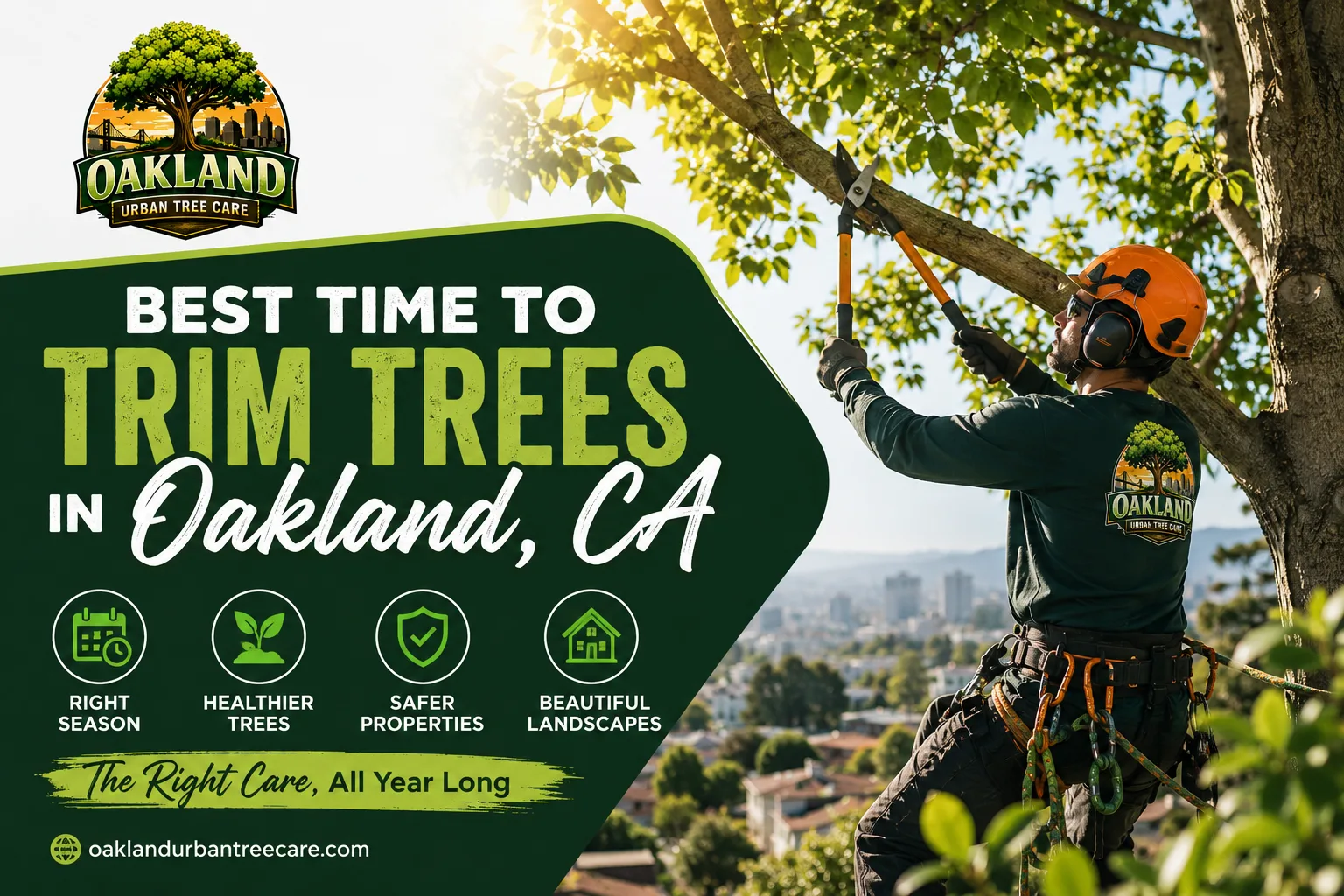 Blog 25 Best Time to Trim Trees in Oakland, CA. Oakland Urban Tree Care