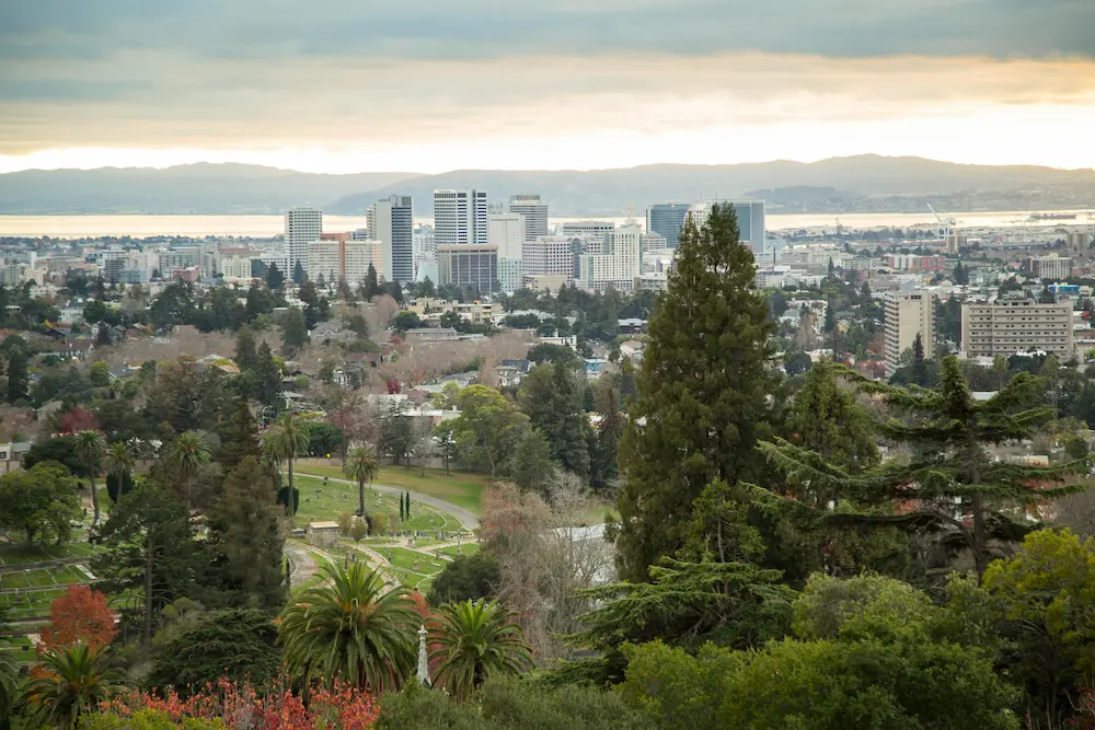 Tree Removal Service in Oakland Ca Tree Removal Service in Oakland Ca