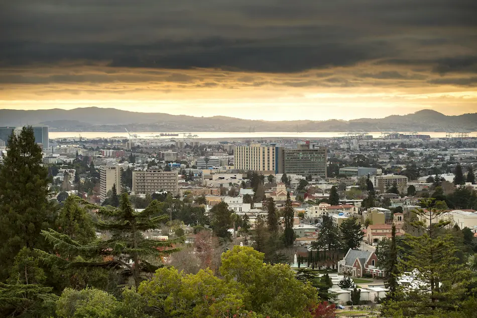 Tree Services in Oakland & Nearby Areas Tree Services in Oakland & Nearby Areas