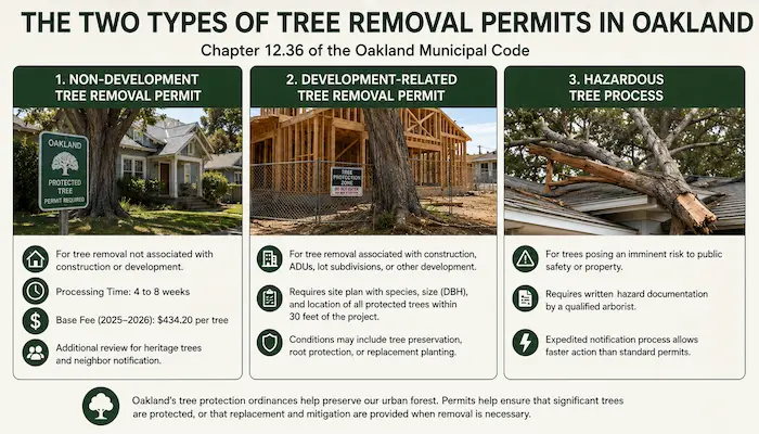 Oakland's Protected Tree Ordinance (Chapter 12.36) Explained Simply 2 Infographic explaining the two types of tree removal permits in Oakland under Chapter 12.36, including non development permits, development related permits, and hazardous tree removal procedures