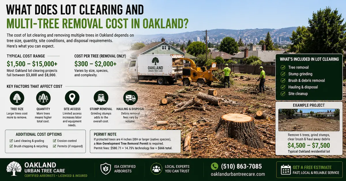 Lot clearing and multi-tree removal cost in Oakland, CA, showing professional arborists removing multiple trees from a residential property, heavy equipment operation, debris hauling, and land clearing services for large-scale tree management projects.