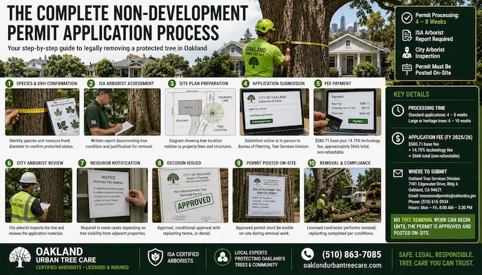 What Is a Non-Development Tree Removal Permit in Oakland? 2 ISA Certified Arborist and Oakland homeowner completing the Non-Development Tree Removal Permit application process, including tree assessment, arborist report, permit submission, city review, and approved tree removal under Oakland Chapter 12.36.