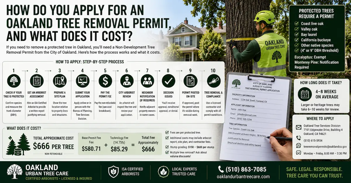 How Do You Apply for an Oakland Tree Removal Permit, and What Does It Cost? Oakland homeowner meeting with an ISA Certified Arborist to complete a tree removal permit application, showing permit documents, tree assessment, and Oakland Chapter 12.36 compliance requirements.