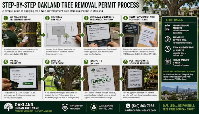 ISA Certified Arborist helping an Oakland homeowner complete a tree removal permit application, including tree assessment, site plan preparation, permit submission, city review, and approved tree removal under Oakland Chapter 12.36.