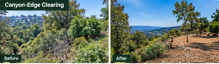 Canyon-edge fuel clearing in Oakland