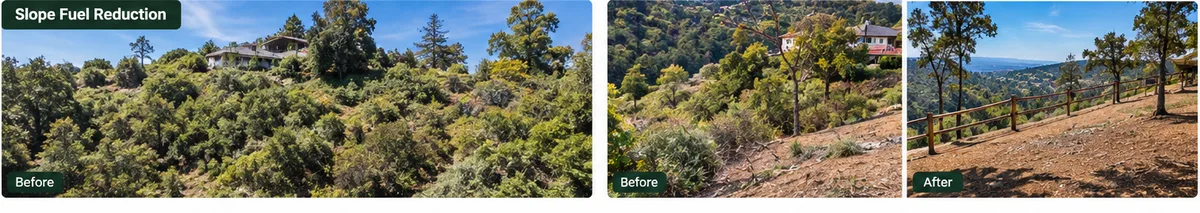Slope fuel reduction in the Oakland Hills