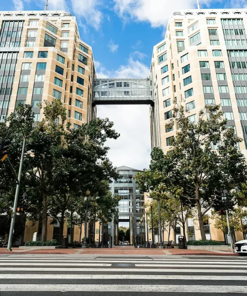 WHY LOCAL TREE SERVICE MATTERS IN OAKLAND,Oakland Urban Tree Care