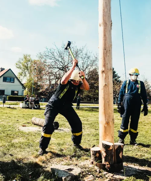 Tree Removal Oakland CA,Safe & Reliable Service